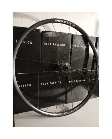 Ruota anteriore MTB 29 boost 15x110 canale interno 22mm già tubeless adatta a...