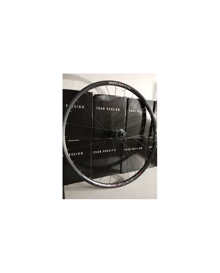 Ruota anteriore MTB 29 boost 15x110 canale interno 22mm già tubeless adatta a...