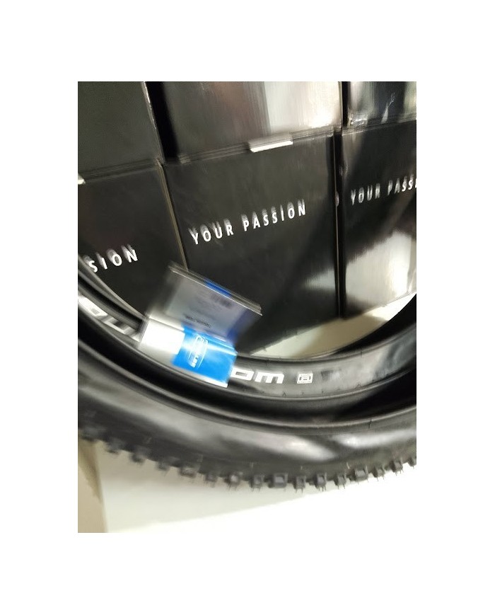 coppia copertoni mtb 26 x 2,35 Schwalbe Tough Tom SBC per camera no tubeless