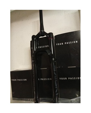 Forcella nuova e-bike 29 boost 160mm rockshox lyric base Model designator (SF)