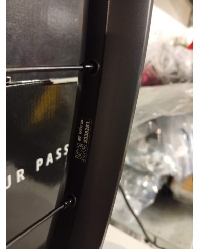 Ruota Posteriore MTB E-bike 29 12x148 Microspline DT Swiss H1900